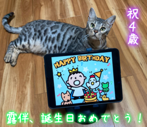 露伴4歳の誕生日