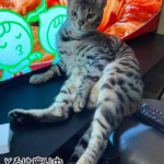 とろけてるような座り方