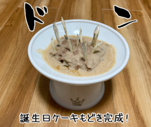 誕生日ケーキもどき完成！
