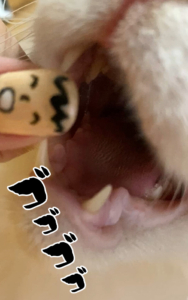 乱歩に捕食されそうなたあ坊