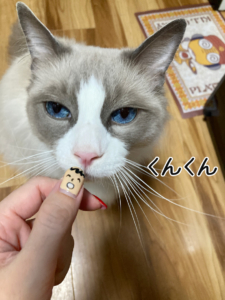 たあ坊のニオイを嗅ぐ乱歩