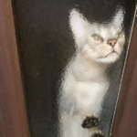 ドア越し露伴