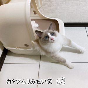 カタツムリ乱歩