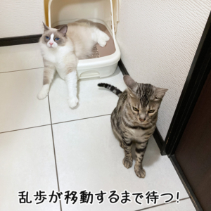 順番を待つ露伴