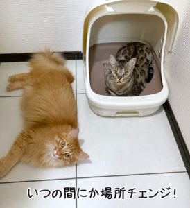 百福と露伴がいつの間にか入れ替わり