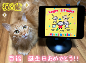 百福8歳の誕生日