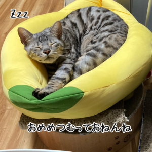 露伴の可愛い寝顔その1