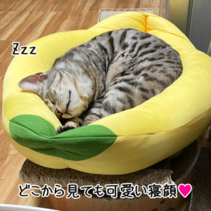 露伴の可愛い寝顔その3