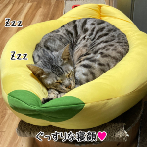 露伴の可愛い寝顔その4