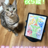 露伴5歳の誕生日