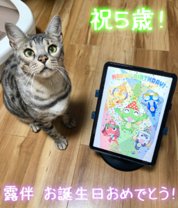 露伴5歳の誕生日