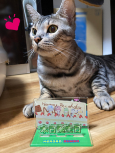本日誕生日！