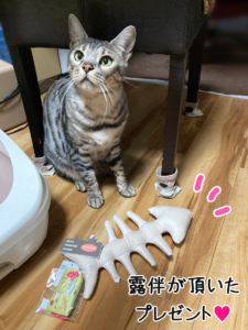 露伴が頂いた誕生日プレゼント