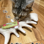 まず嗅ぎます