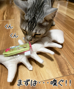 まず嗅ぎます