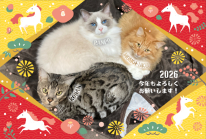 2026年の年賀状②
